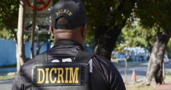 Dicrim apresa 11 personas en las últimas 24 horas por distintos delitos